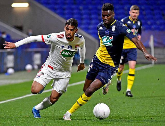 关于法国杯赛程吃紧，夏洛特黄蜂集结日遗憾出局，悬念犹存，年轻球员得到机会的信息